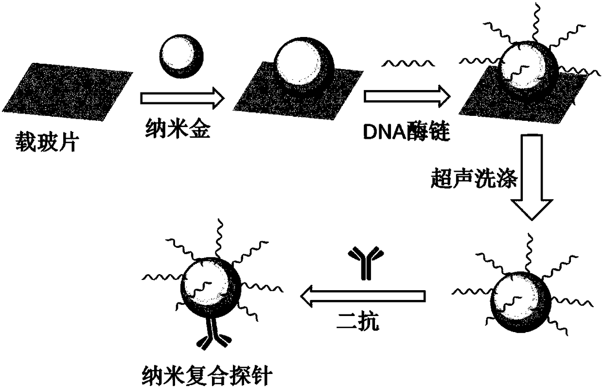 High-sensitivity nano composite probe for fluorescent quantitative detection of blood serum tumor marker, composition and fluorescent quantitative kit