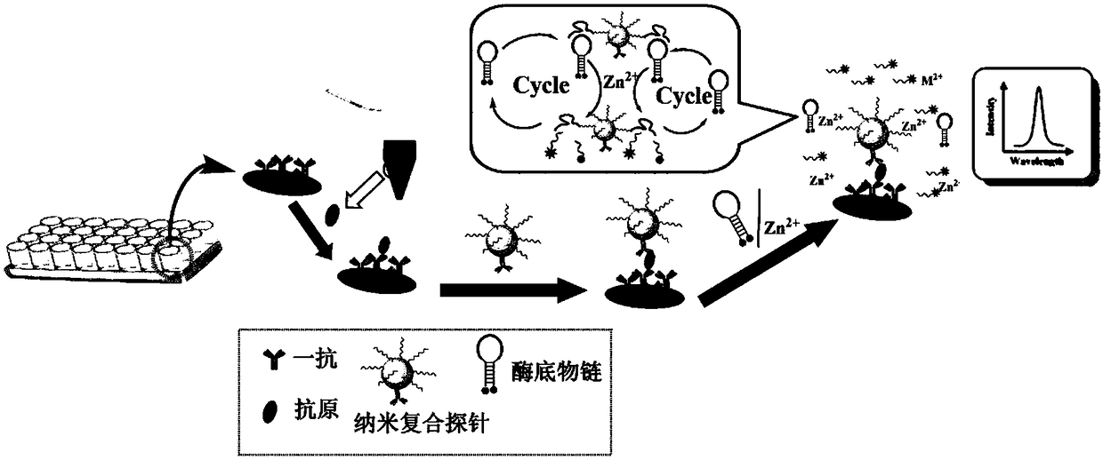 High-sensitivity nano composite probe for fluorescent quantitative detection of blood serum tumor marker, composition and fluorescent quantitative kit