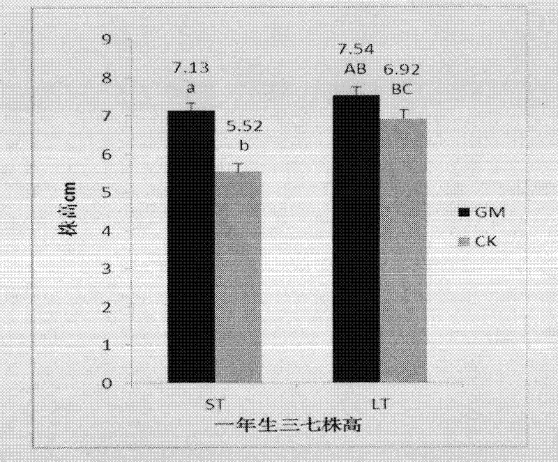 Method for cultivating Panax notoginseng by arbuscular mycorrhizal fungi technique