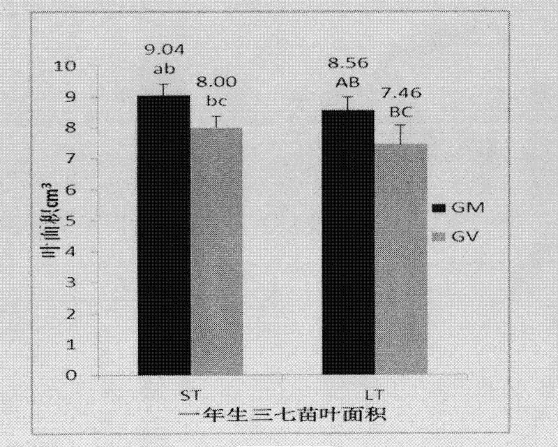 Method for cultivating Panax notoginseng by arbuscular mycorrhizal fungi technique