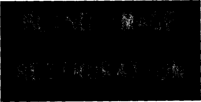 Blind image restoring method based on adaptive judgment feedback balance technique