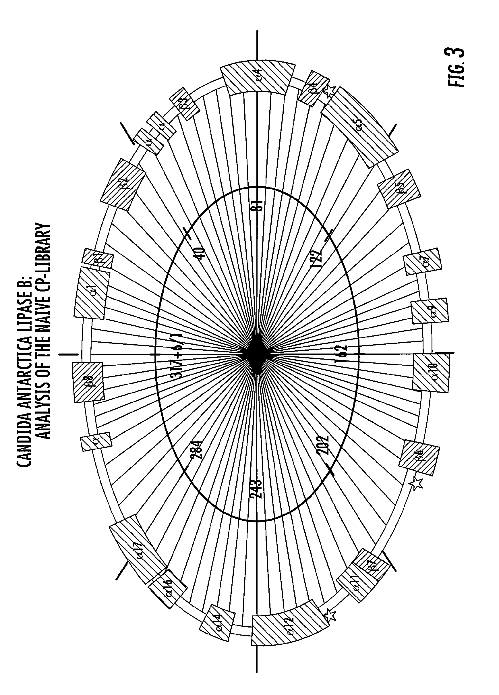 Proteins with enhanced functionality and methods of making novel proteins using circular permutation