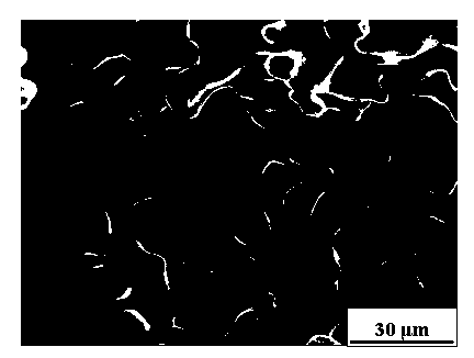 Preparation method of biomedical porous titanium