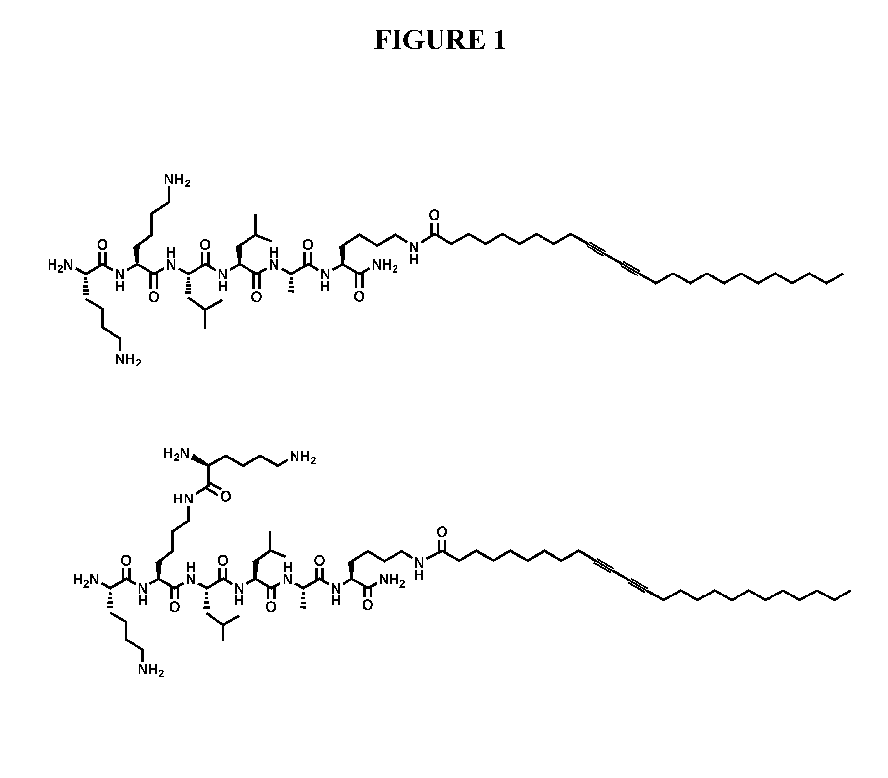 Self-assembling peptide amphiphiles