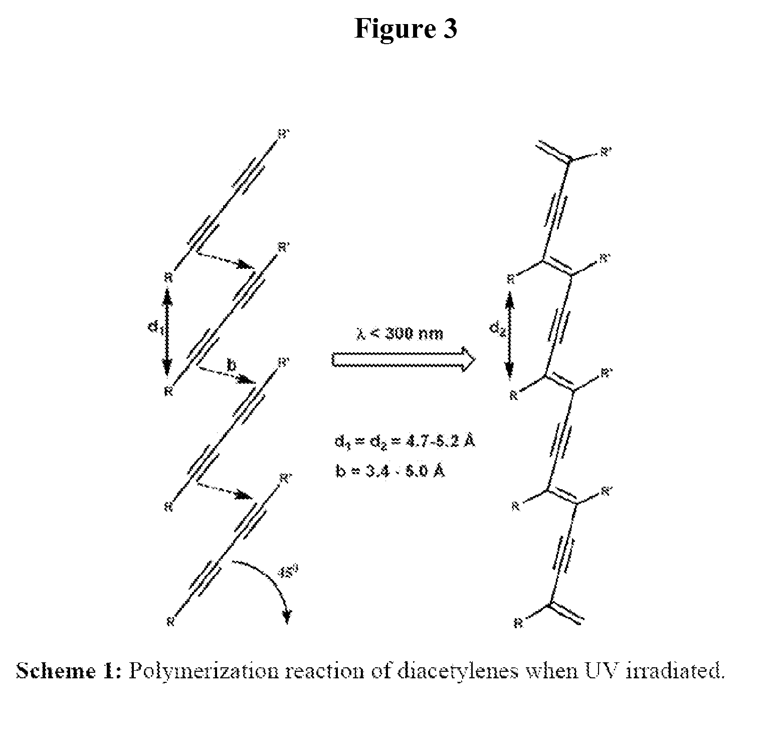 Self-assembling peptide amphiphiles