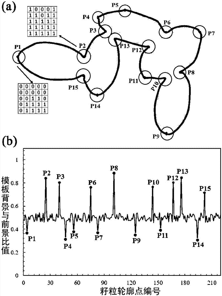 Rapid counting method for rice-wheat grains