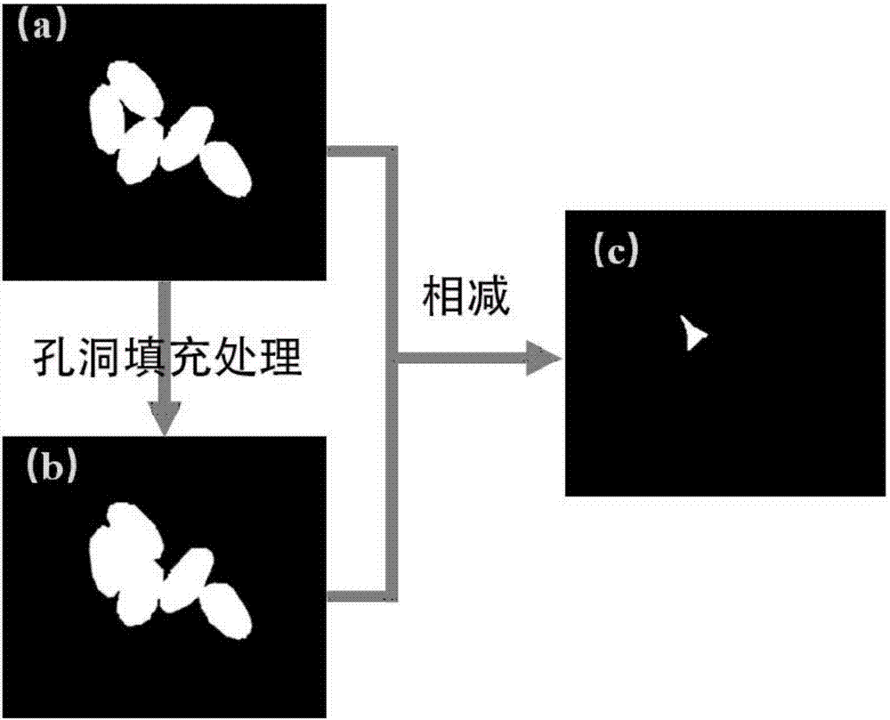 Rapid counting method for rice-wheat grains