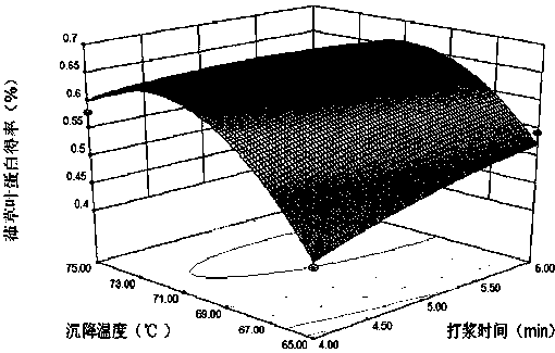 Method for extracting Humulus scandens (Lour.) Merr. leaf protein and total flavonoids in graded manner simultaneously from fresh and tender stems and leaves of Humulus scandens (Lour.) Merr.