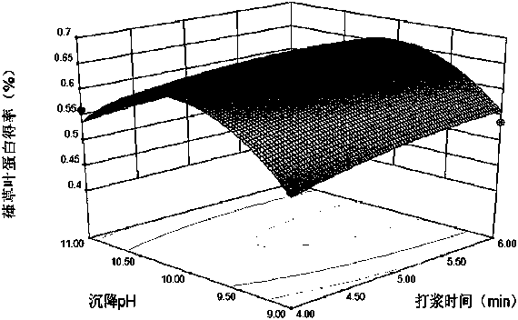 Method for extracting Humulus scandens (Lour.) Merr. leaf protein and total flavonoids in graded manner simultaneously from fresh and tender stems and leaves of Humulus scandens (Lour.) Merr.