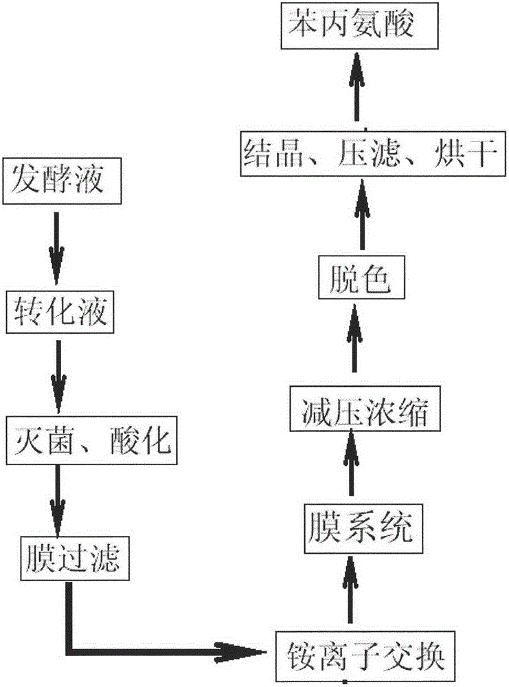 Method for extracting L-phenylalanine from fermentation liquid