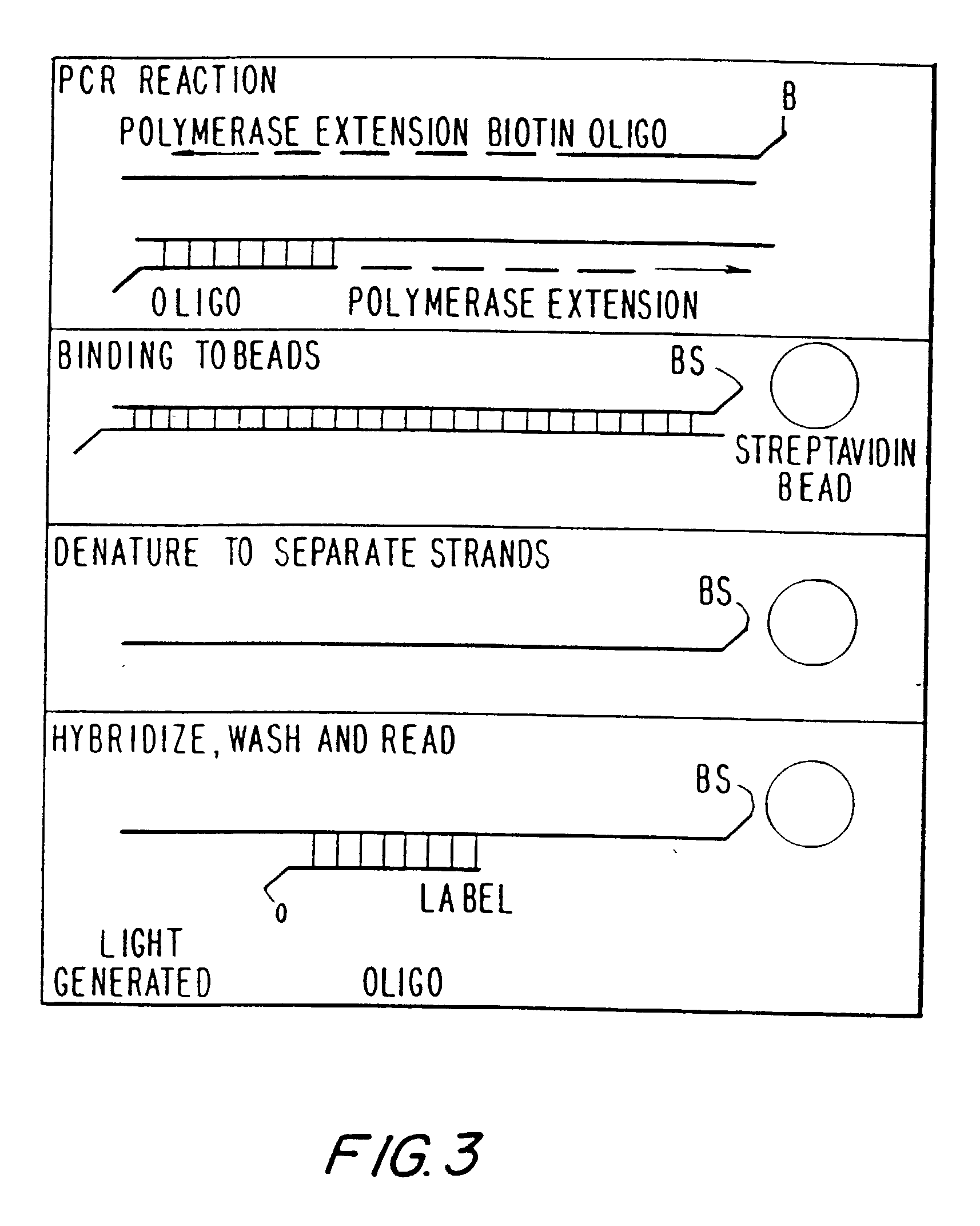 Methods and apparatus for improved luminescence assays