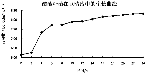 Acetobacter aceti and application thereof