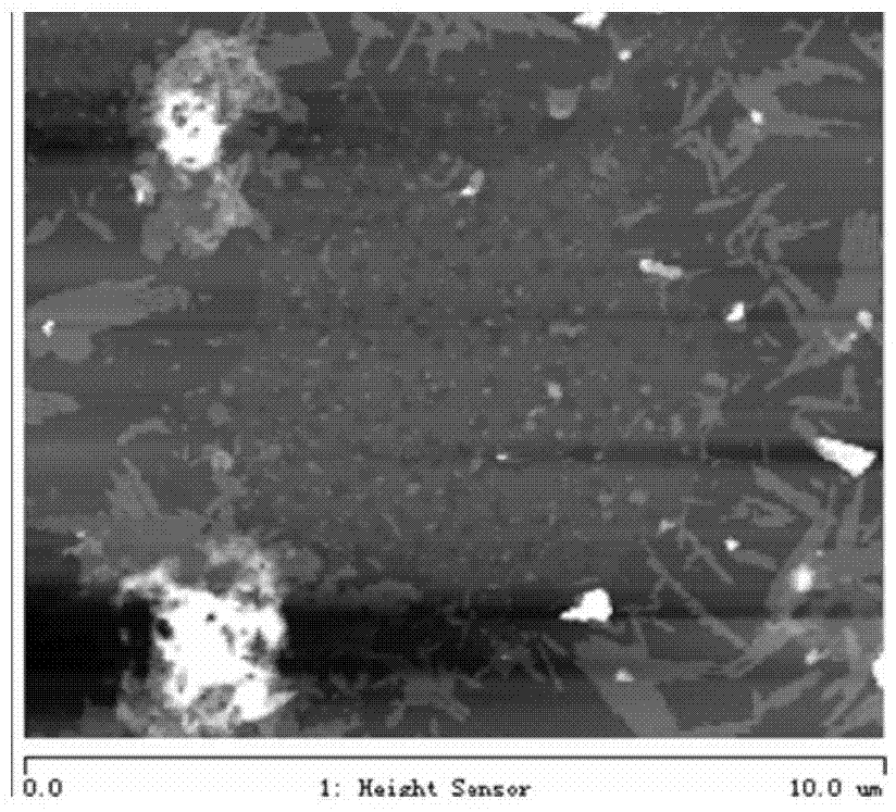 Porous graphene and preparation method therefor