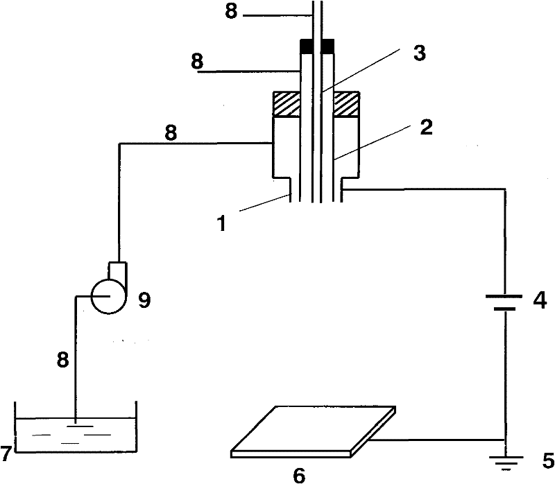 Core/shell fiber with nanowire-embedded microtube structure and preparation method thereof