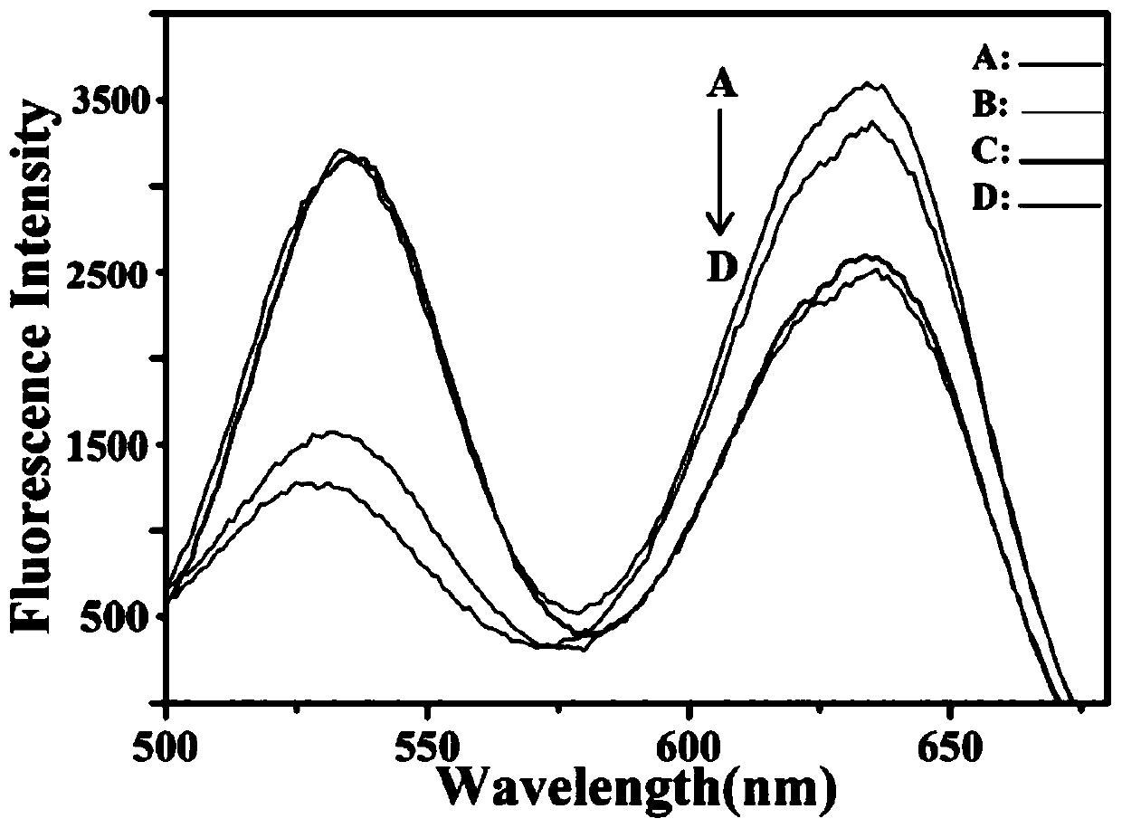 Preparation method and application of molecularly imprinted fluorescence sensor for detecting two types of viruses simultaneously and visually