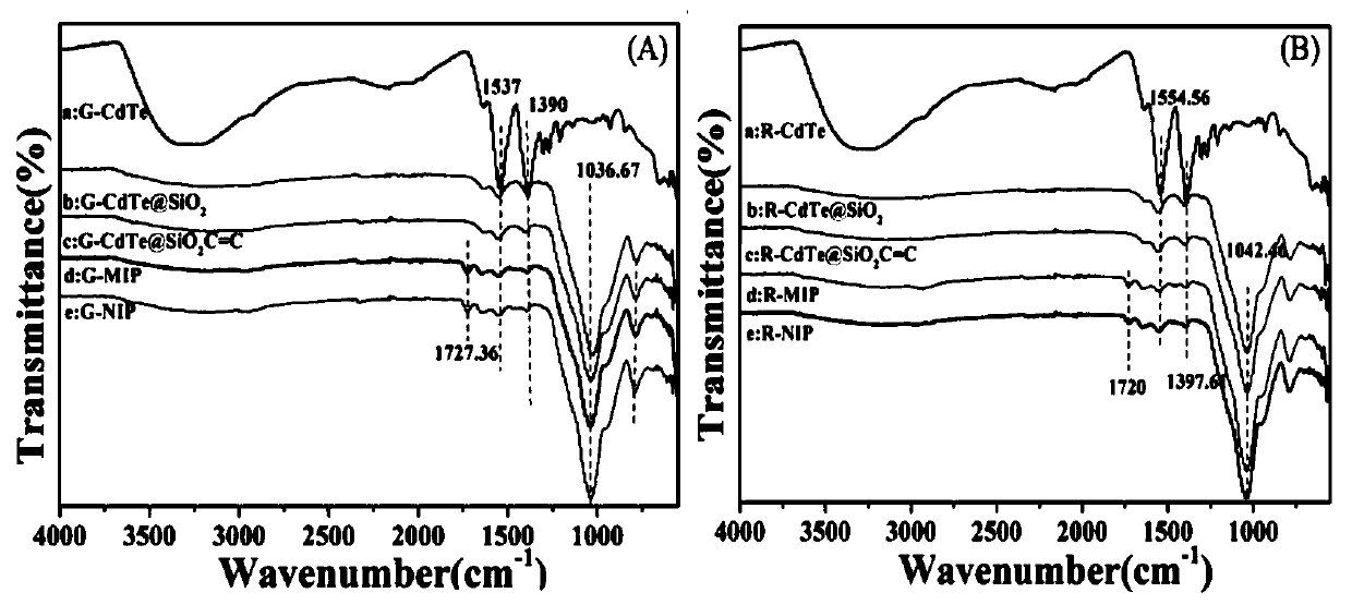 Preparation method and application of molecularly imprinted fluorescence sensor for detecting two types of viruses simultaneously and visually