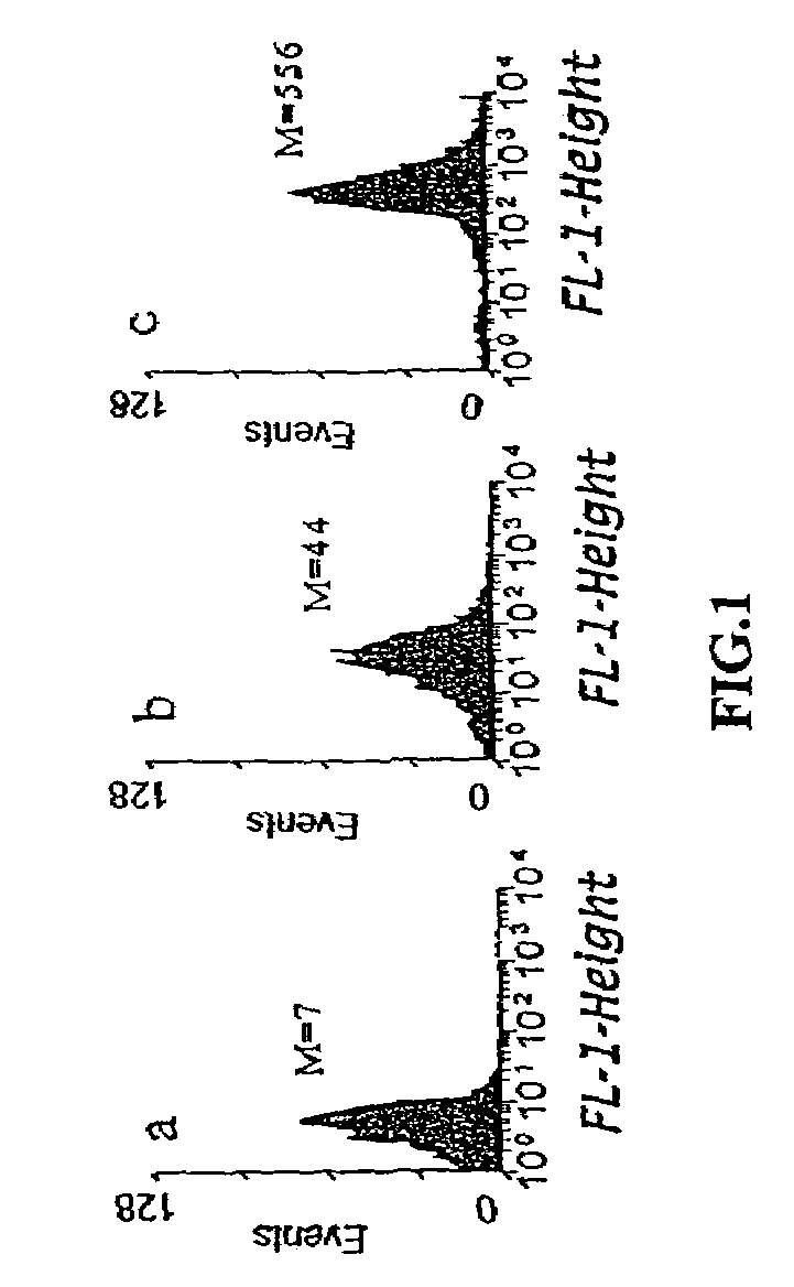 Engineering of leader peptides for the secretion of recombinant proteins in bacteria