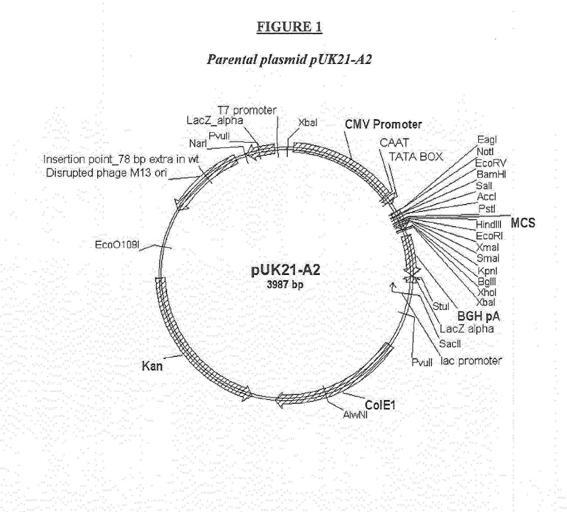 Salmonid alphavirus and uses thereof