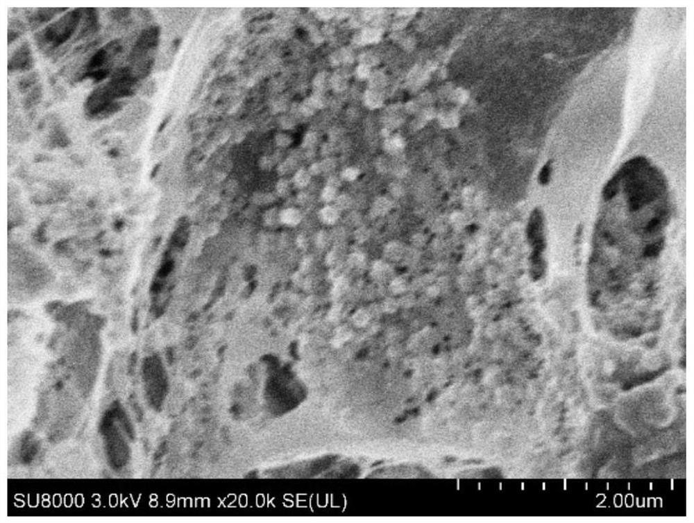 Waste cellulose acetate fiber-based regenerated cellulose aerogel and preparation method thereof