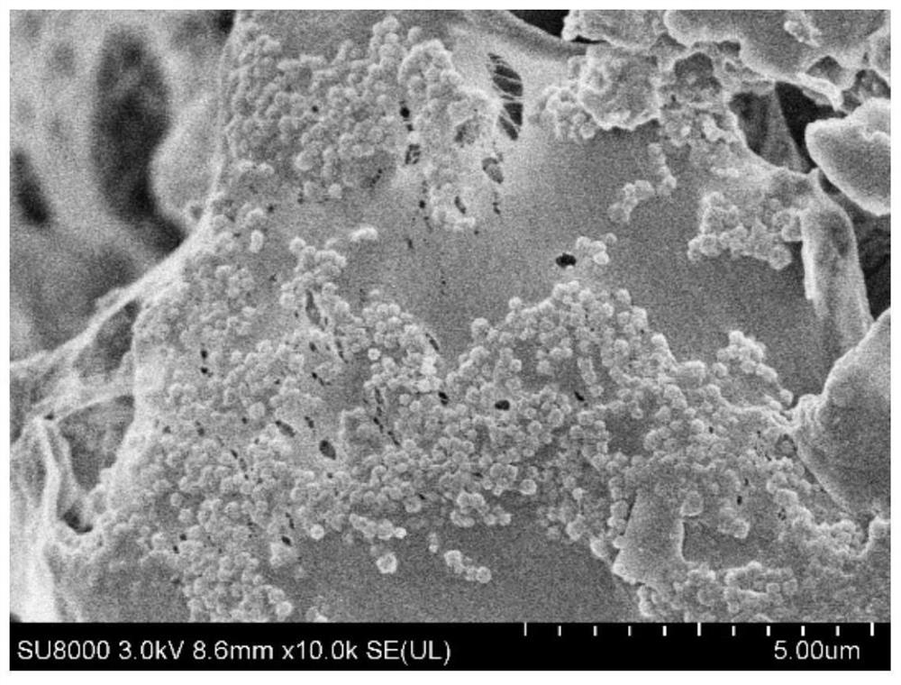 Waste cellulose acetate fiber-based regenerated cellulose aerogel and preparation method thereof