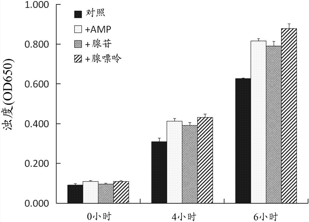 Lactic acid bacterium having purine body uptake ability, and use thereof