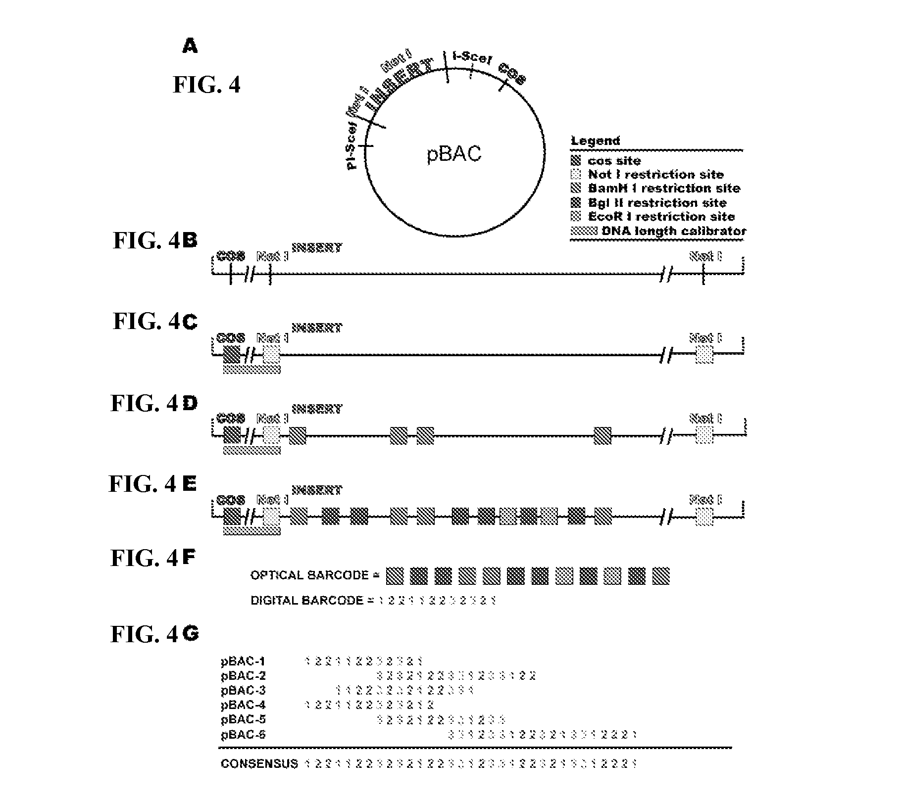 Optical fingerprinting of nucleic acid sequences