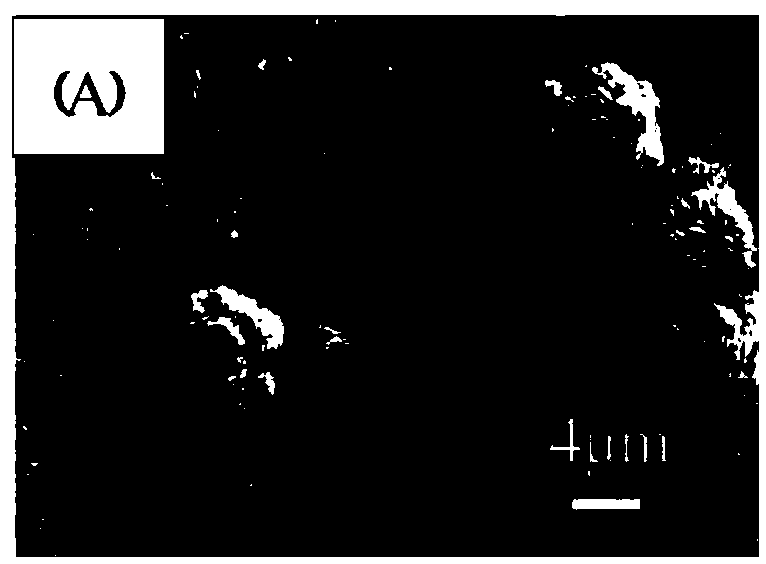 Dewing-frosting preventing self-cleaning coating and preparation method thereof