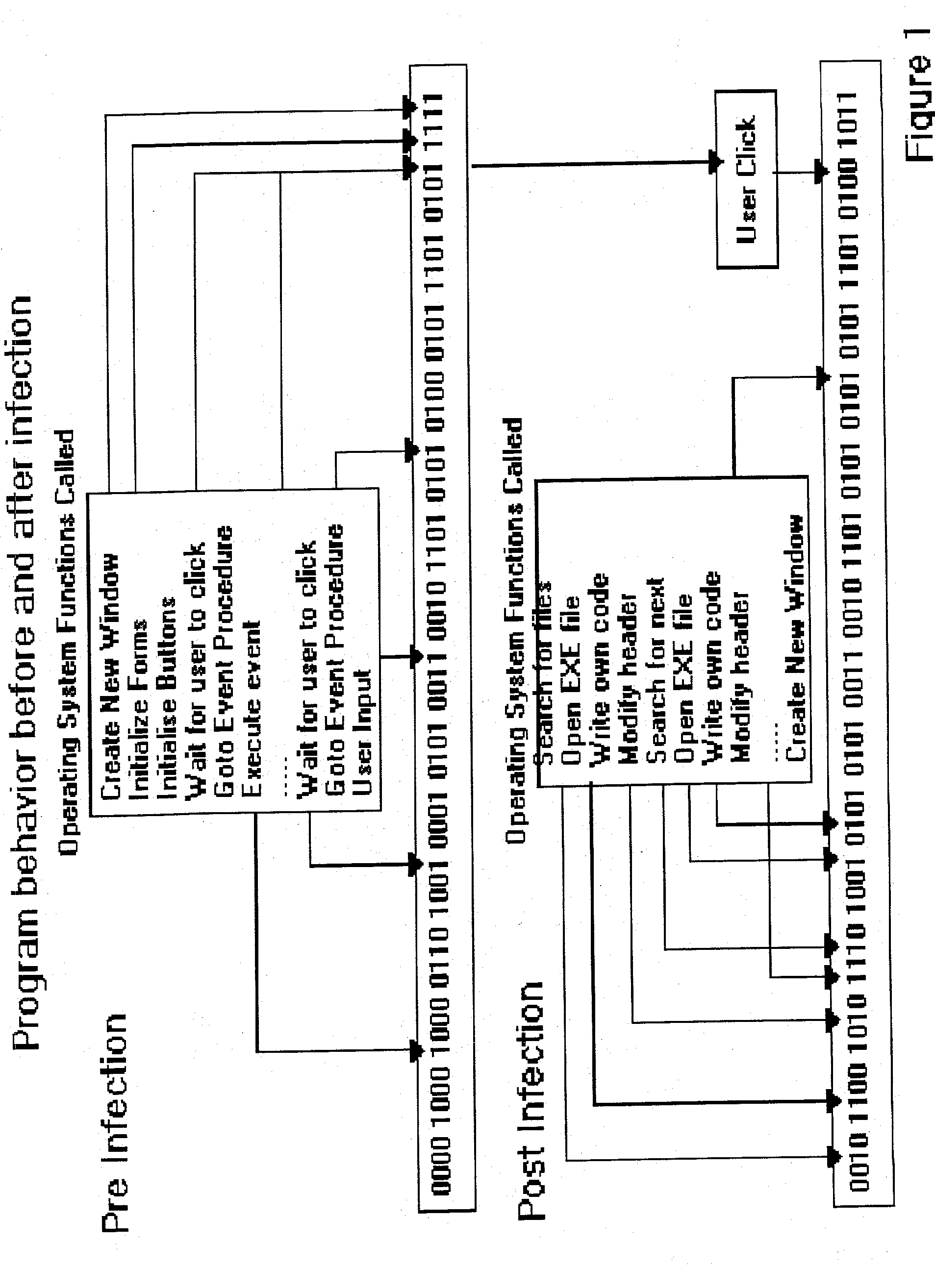 Computer immune system and method for detecting unwanted code in a P-code or partially compiled native-code program executing within a virtual machine