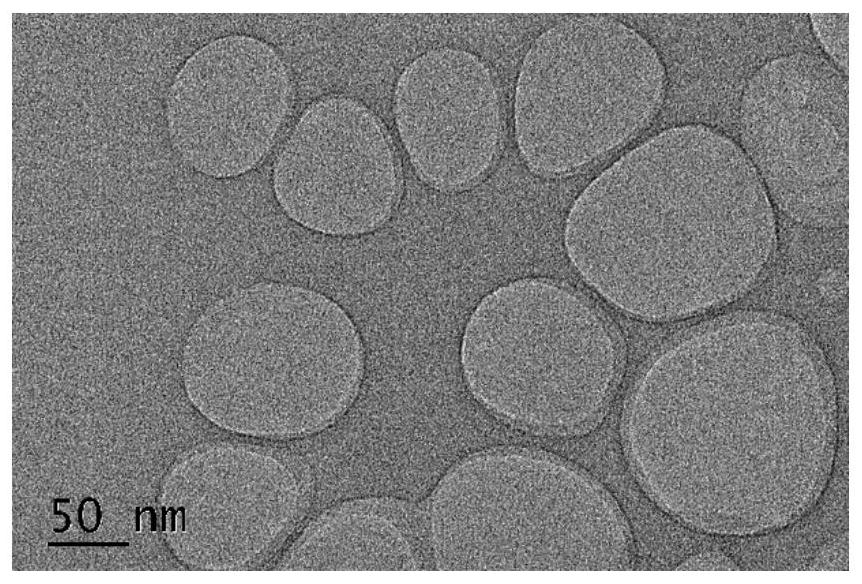 A kind of perfluorocarbon albumin nanoparticles and preparation method and application thereof