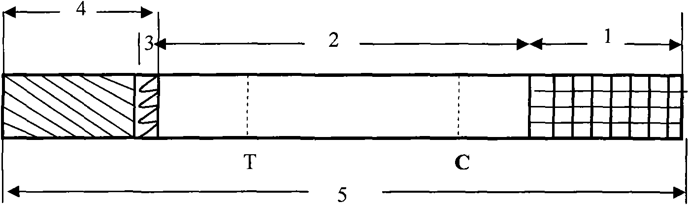 Colloidal gold test paper for staphylococcal enterotoxin B (SEB), preparation method thereof and application thereof