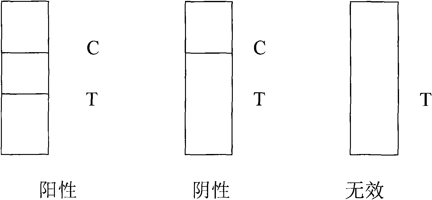 Colloidal gold test paper for staphylococcal enterotoxin B (SEB), preparation method thereof and application thereof