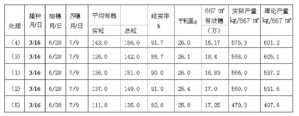 Drought resisting and water saving cultivation technique for performing direct sowing on dry paddy field by fully using natural precipitation