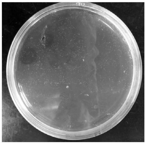 Antibacterial stainless steel composite powder, antibacterial stainless steel and preparation method thereof