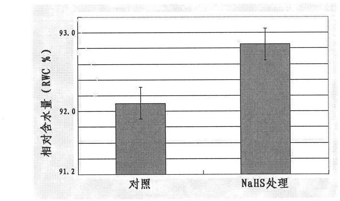 Plant antitranspirant and using method thereof