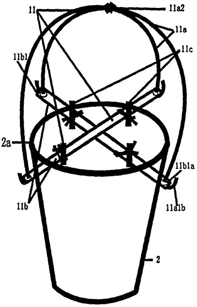 Device of prevention of cold, birds and pests for potted plant