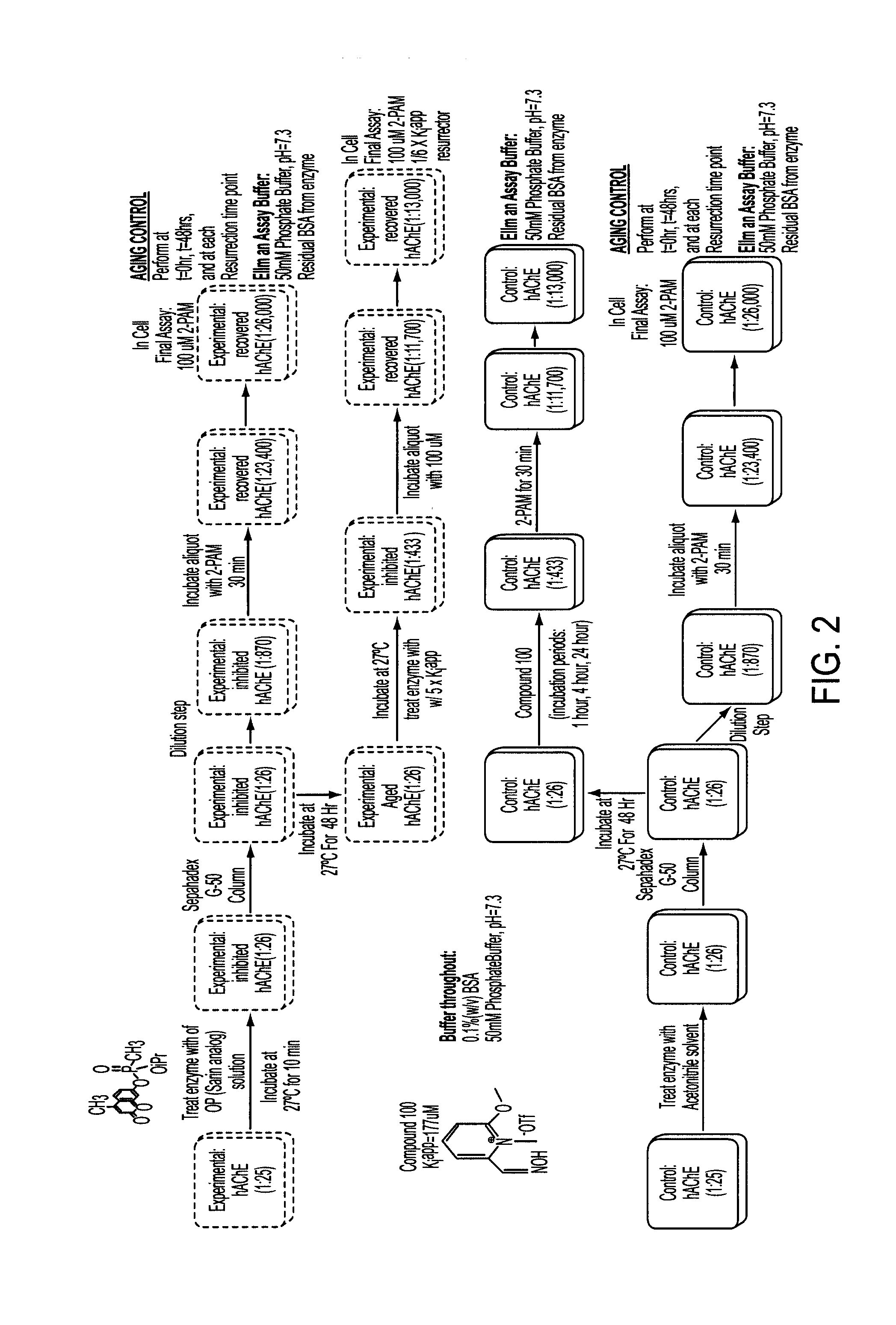 Compounds and methods to treat organophosphorus poisoning