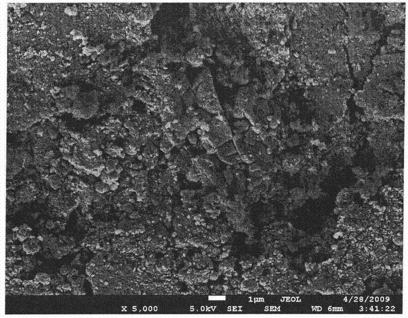 Solid super acidic catalyst and preparation method thereof