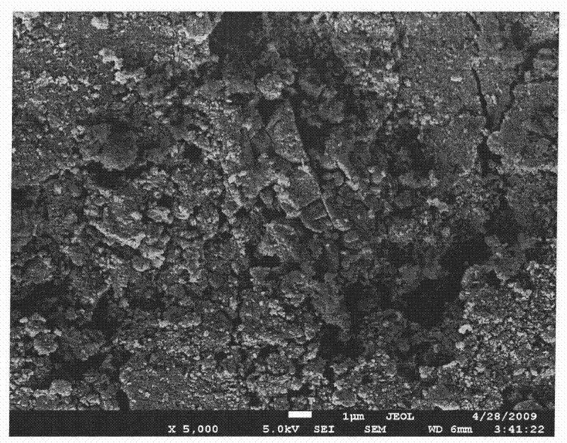 Solid super acidic catalyst and preparation method thereof