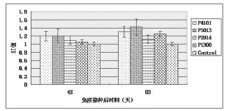 Porcine circovirus 2 immune protection polypeptide and vaccine comprising same