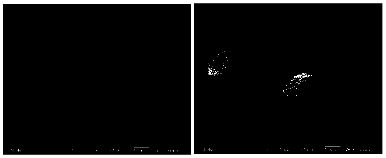 A high-capacity macroporous polymer cation exchange chromatography medium and its preparation