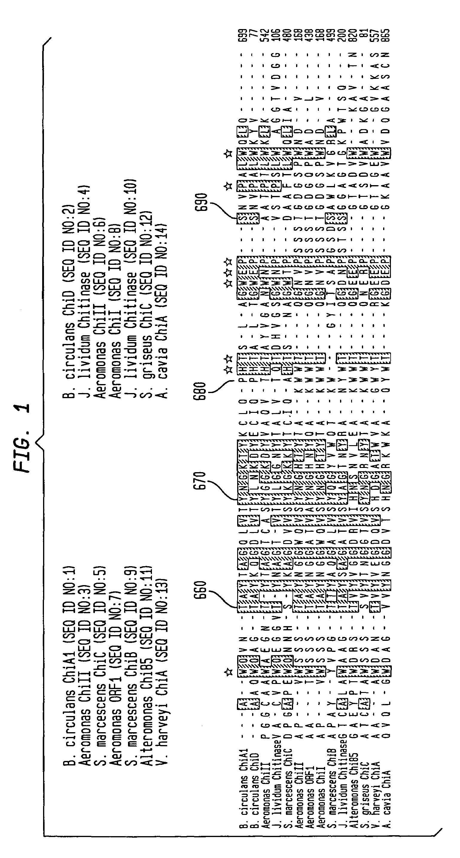 Modified chitin-binding domain and use thereof