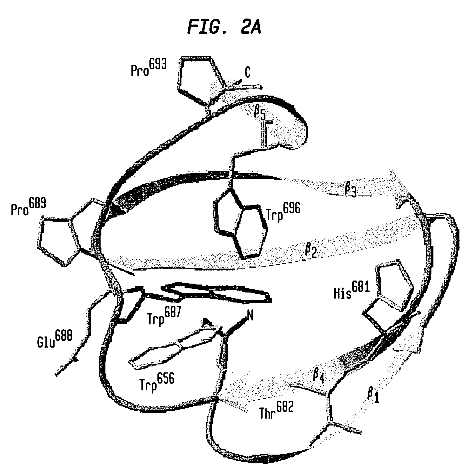 Modified chitin-binding domain and use thereof