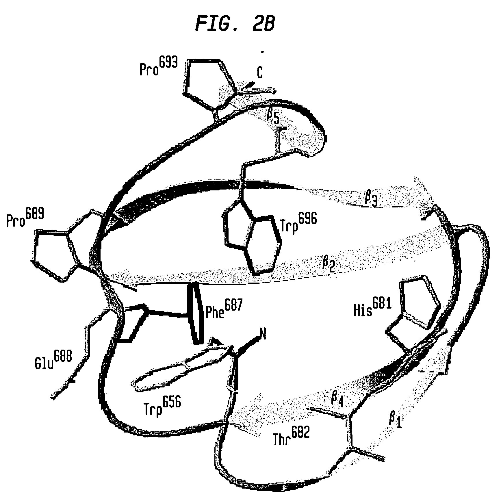 Modified chitin-binding domain and use thereof