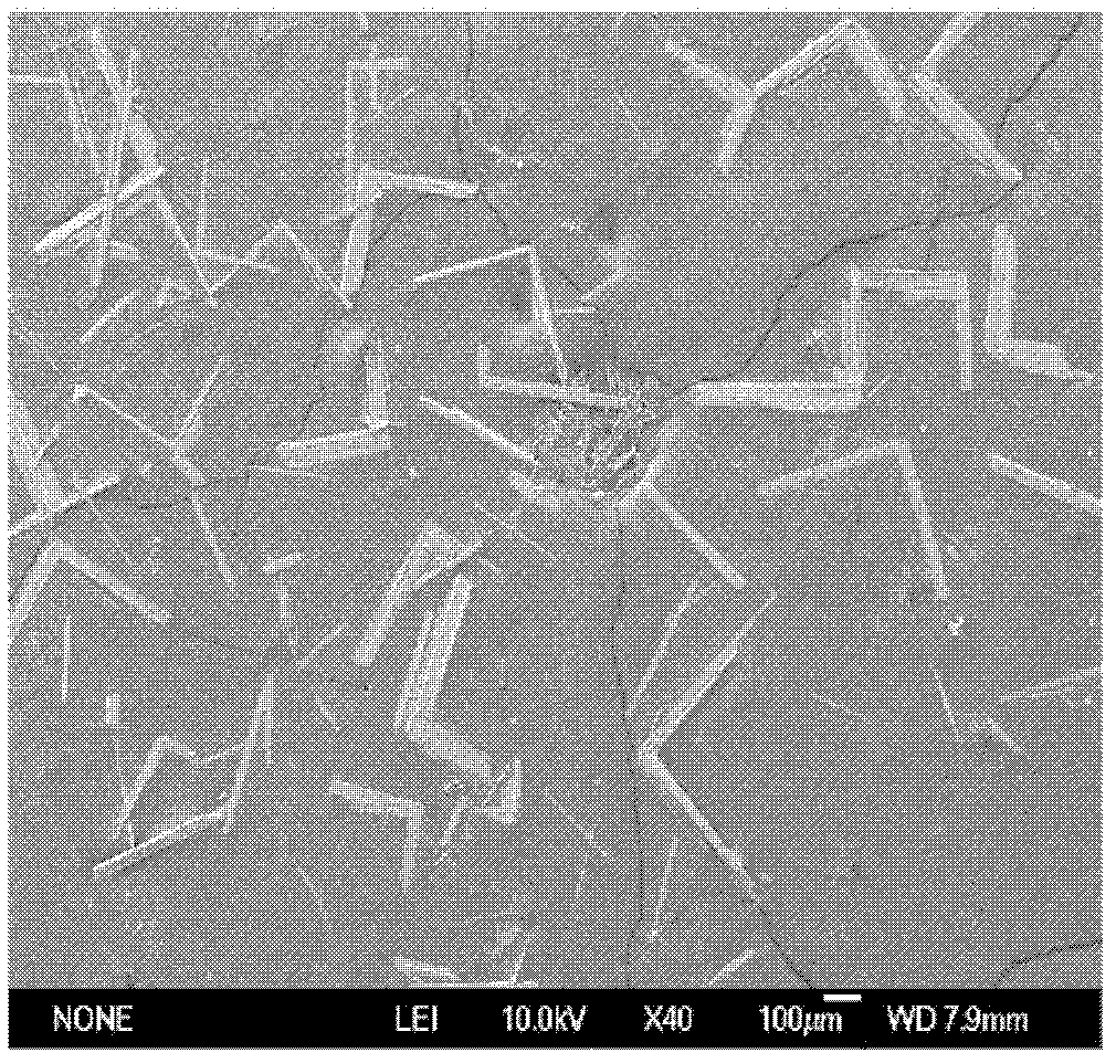 Preparation method of NaV2O5 crystal material with right angle morphology