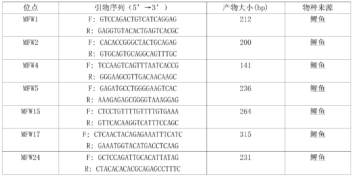 Method for distinguishing gynogenetic ctenopharyngodon idellus from common ctenopharyngodon idellus