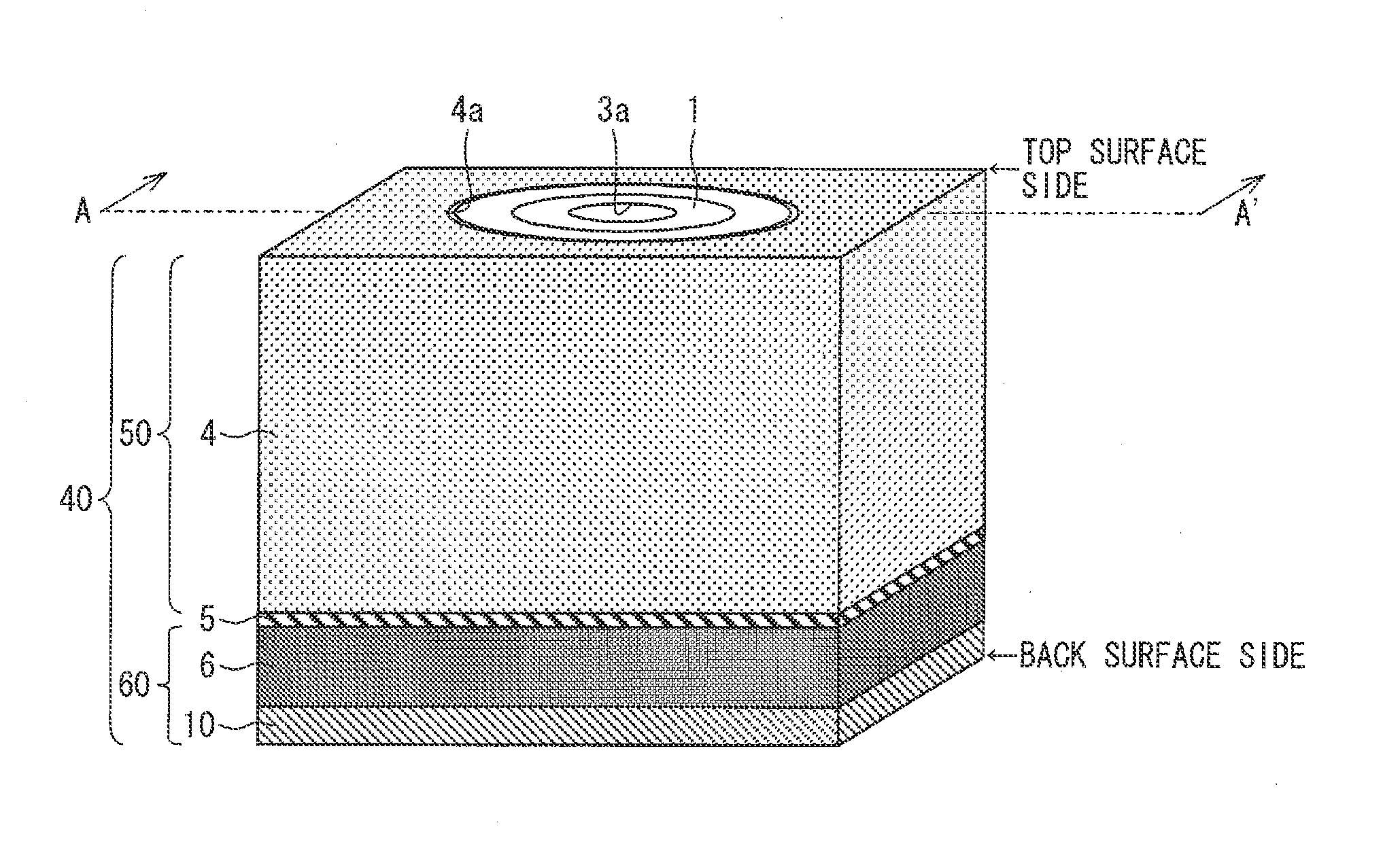 Optical member conveying device