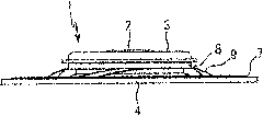 Input device and electronic apparatus