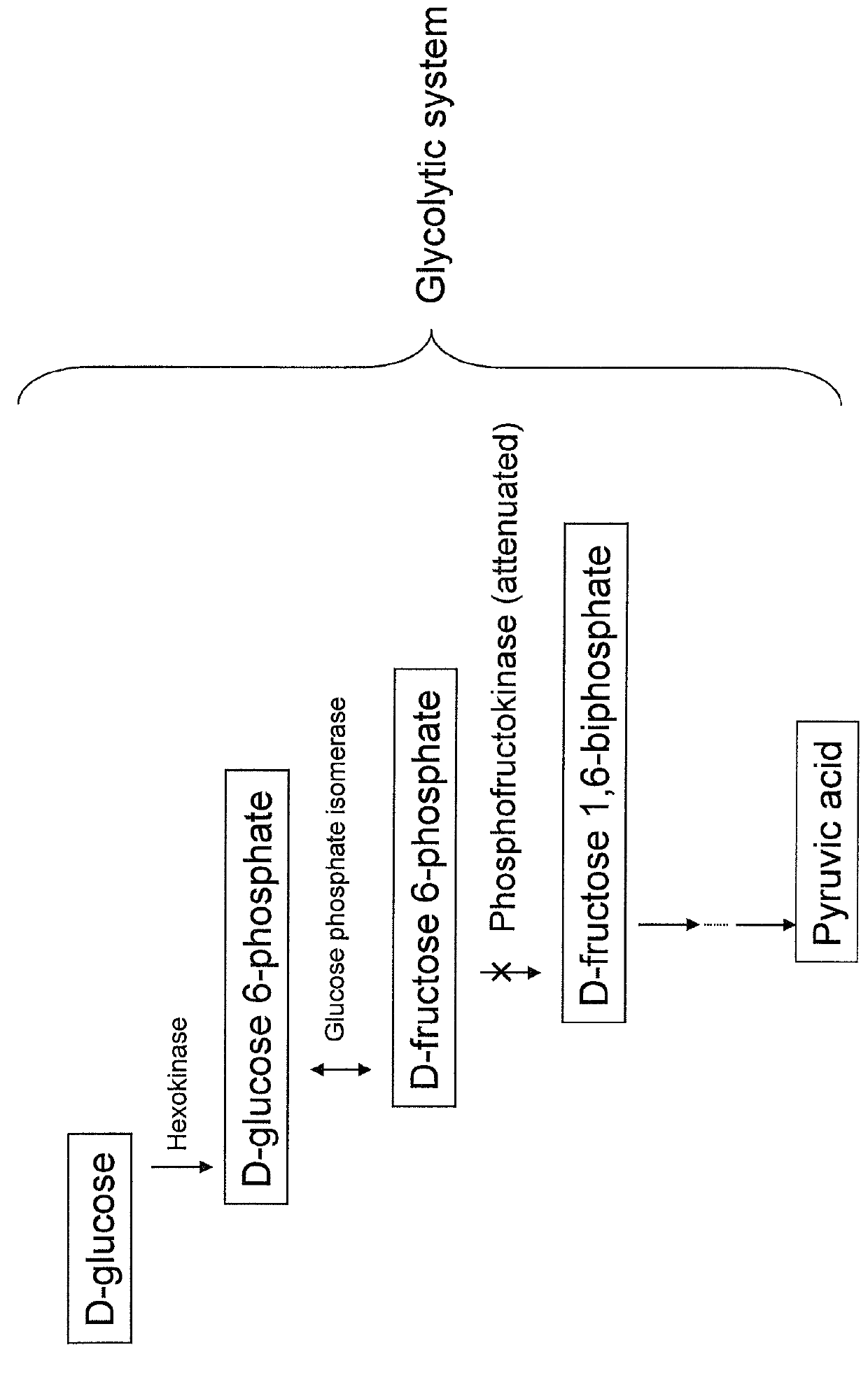 Recombinant yeast and substance production method using the same