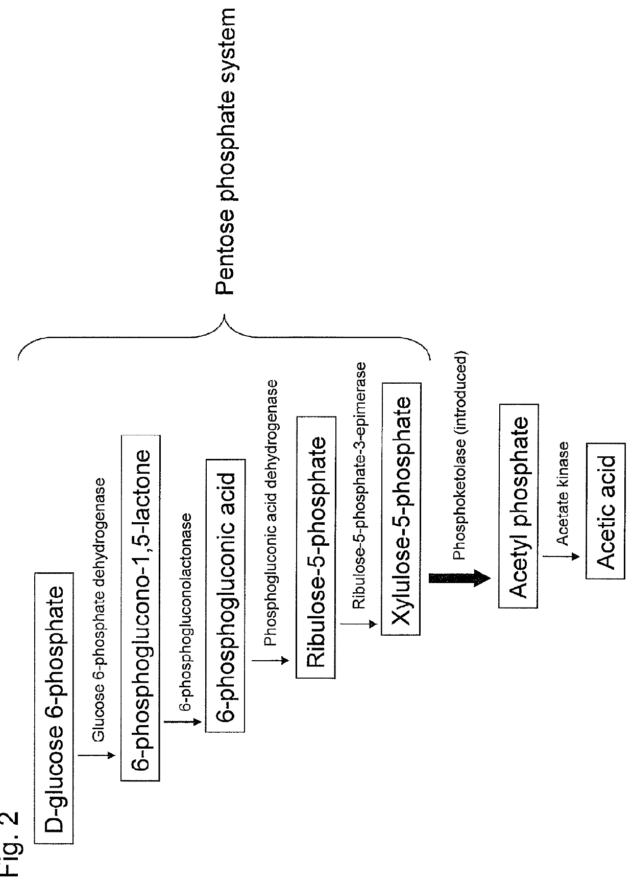 Recombinant yeast and substance production method using the same