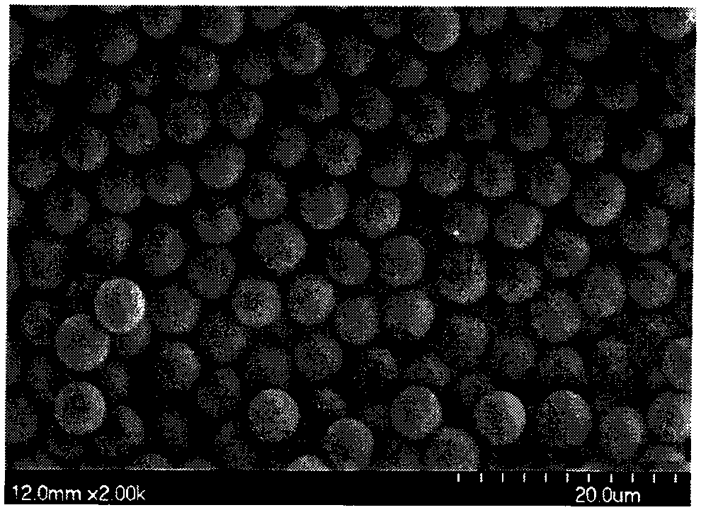 Method for preparing superparamagnetic polymer microspheres